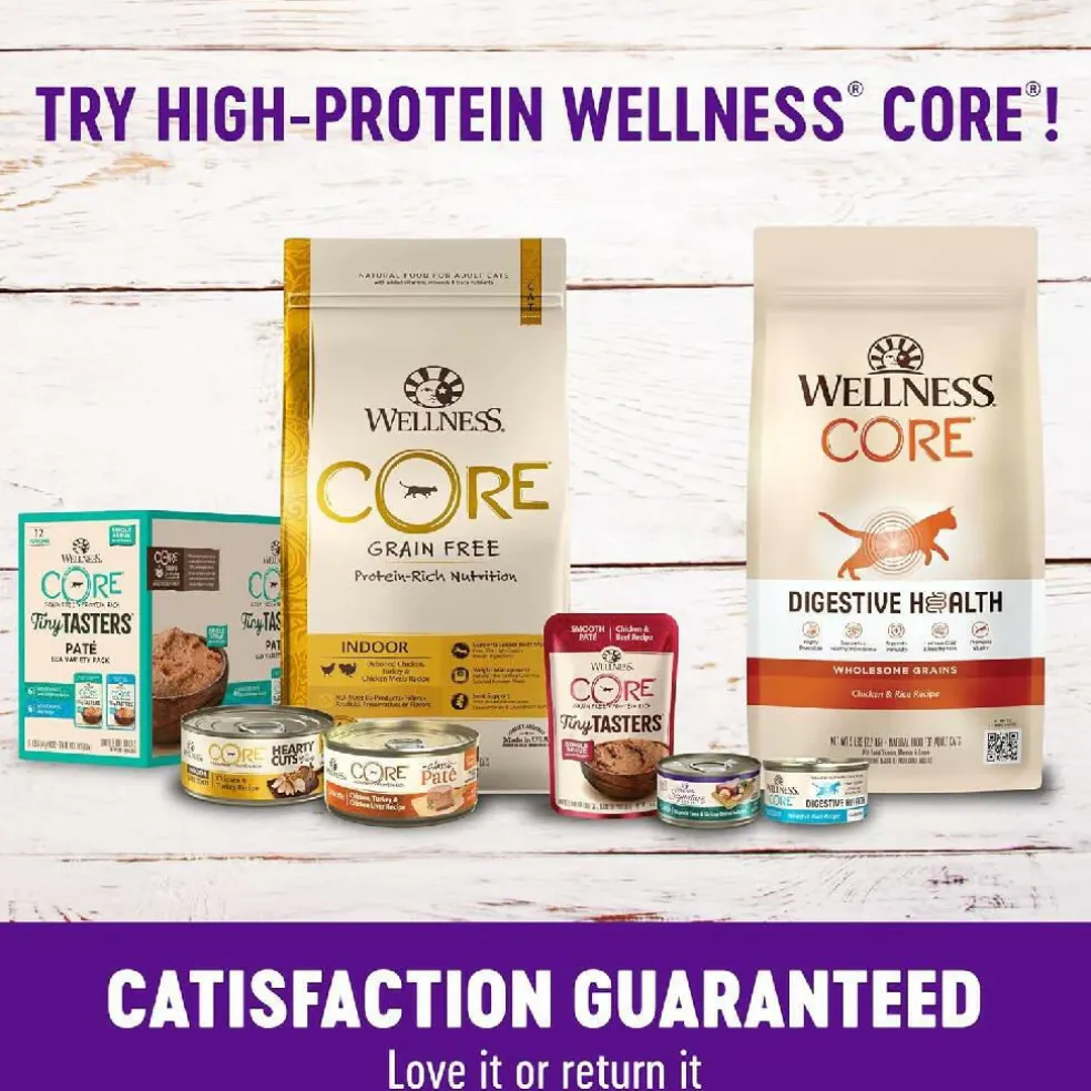 Wellness Kittles Salmon & Cranberries Recipe Crunchy Cat Treats (2 oz)