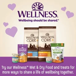 Wellness Lickable Treats Tuna Recipe Natural Treats for Cats, 2.5-oz