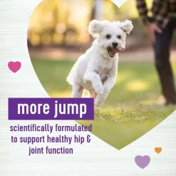 Wellness Move Hip & Joint Support Chicken Flavor Chew Supplement for Dogs