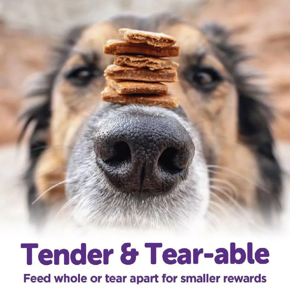 Wellness The Rewarding Life Lamb & Salmon Recipe Grain-Free Dog Treats (6 oz)
