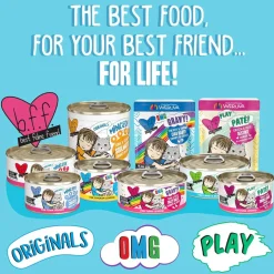 Weruva BFF Gravy Chicken & Salmon Crazy 4 U! Dinner in Gravy Cat Food