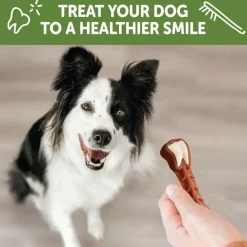 WHIMZEES Brushzees Natural Grain-Free Dental Chews For Dog Treats, Medium (12.7 oz)