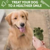 Whimzees by Wellness Alligator Natural Grain-Free Dental Chews For Large Dogs (12.7 oz)