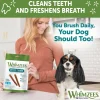 Whimzees by Wellness Dental Chew Veggie Sausage For Small Dog (28 Pack)