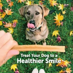 Whimzees by Wellness Fall Value Bag Small Dental Dog Chews (6.3 oz)