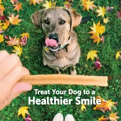 Whimzees by Wellness Fall Value Bag Medium Dental Dog Chews (6.3 oz)