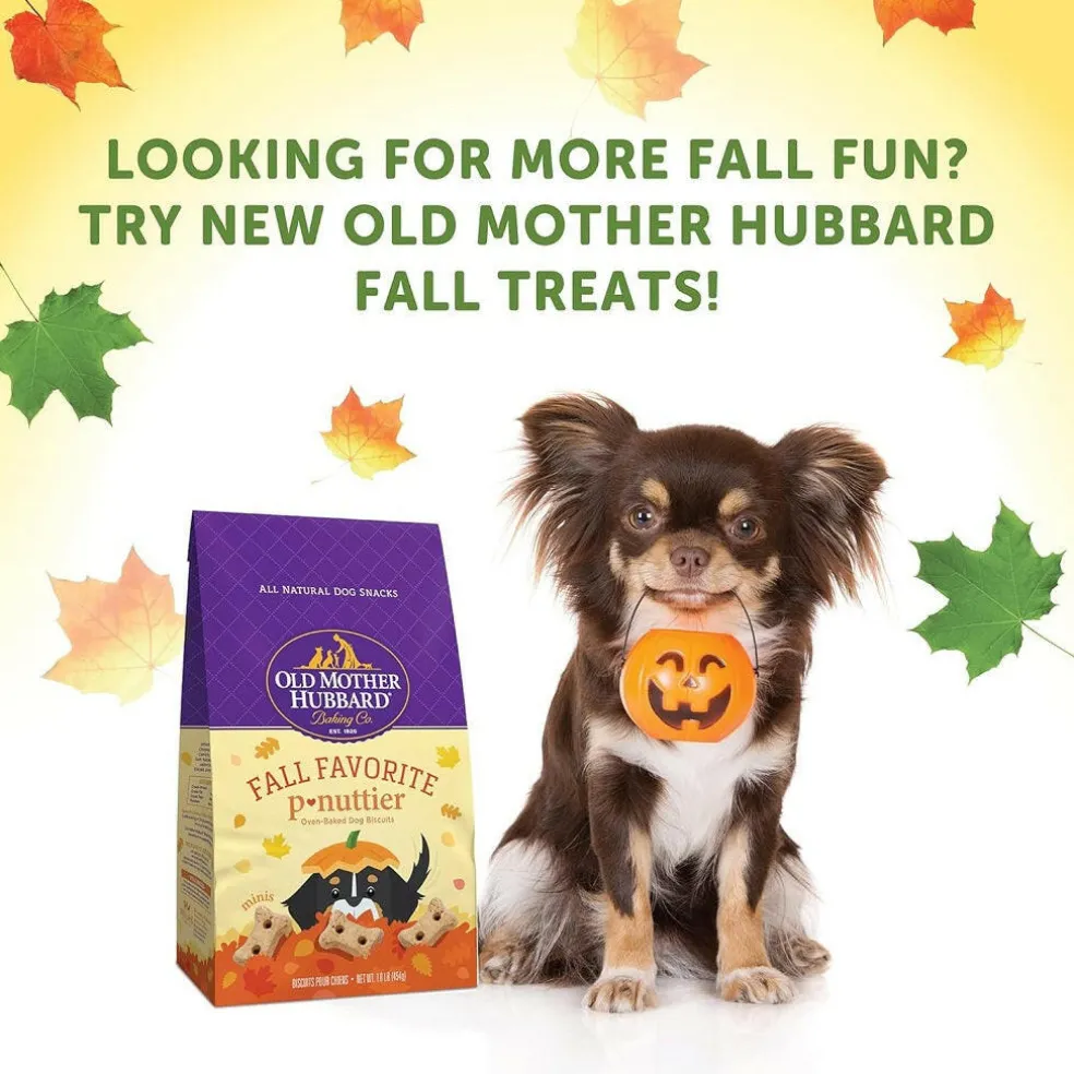Whimzees by Wellness Fall Value Bag Medium Dental Dog Chews (6.3 oz)