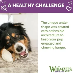 Whimzees by Wellness Occupy Antler Value Bag Treat For Large Dog (6 pc)