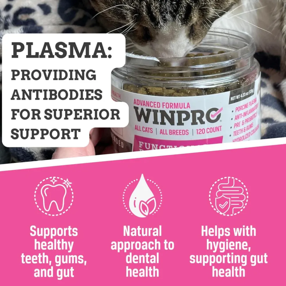WINPRO Cat Dental Bites (120 Bites)