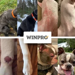 WINPRO Dog Allergy Relief (60 Chews)