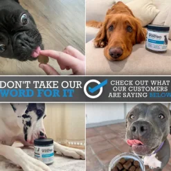 WINPRO Dog Allergy Relief (60 Chews)
