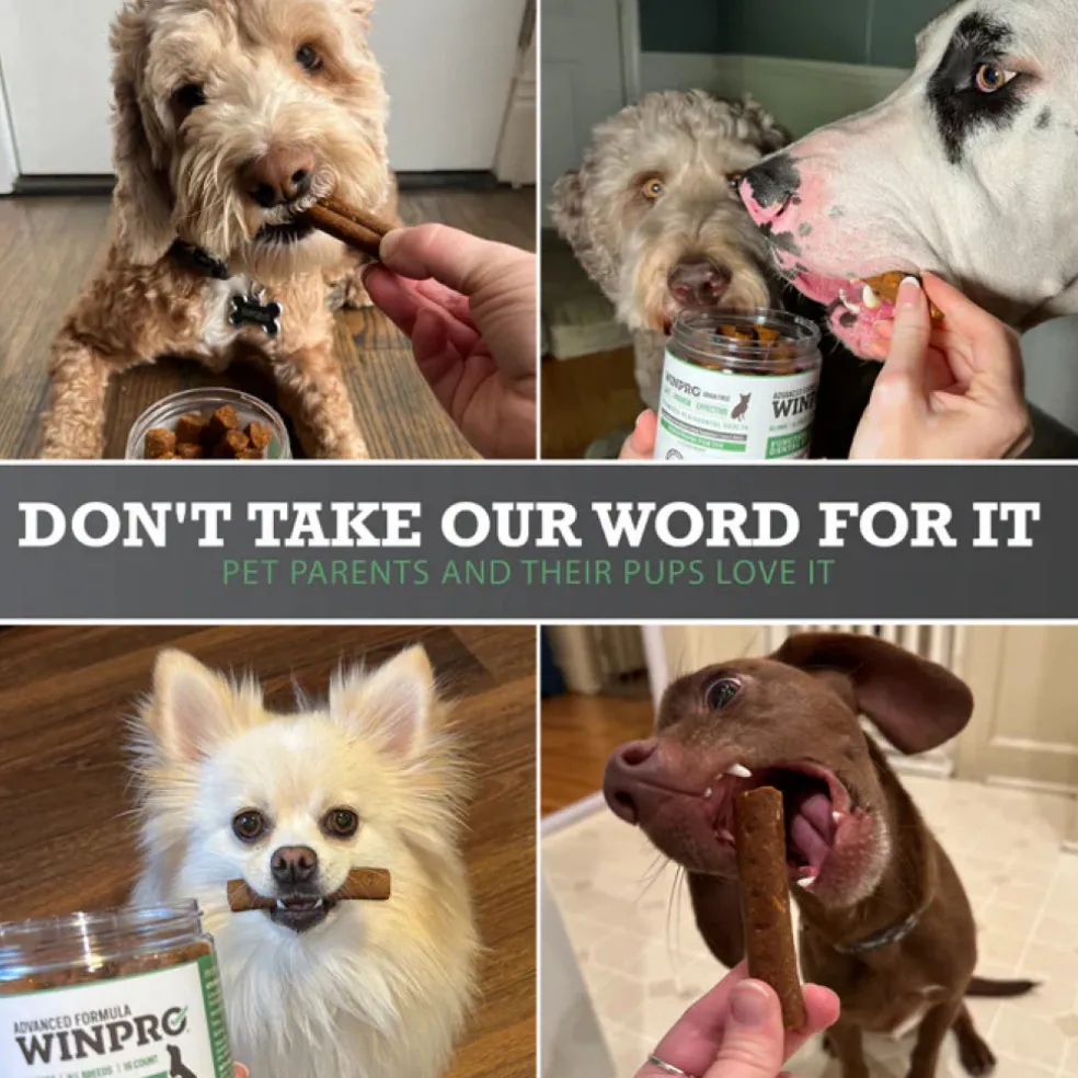 WINPRO Dog Functional Dental Stix (16 Stix)