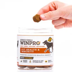 WINPRO Dog Gut Health & Immunity (60 Chews)