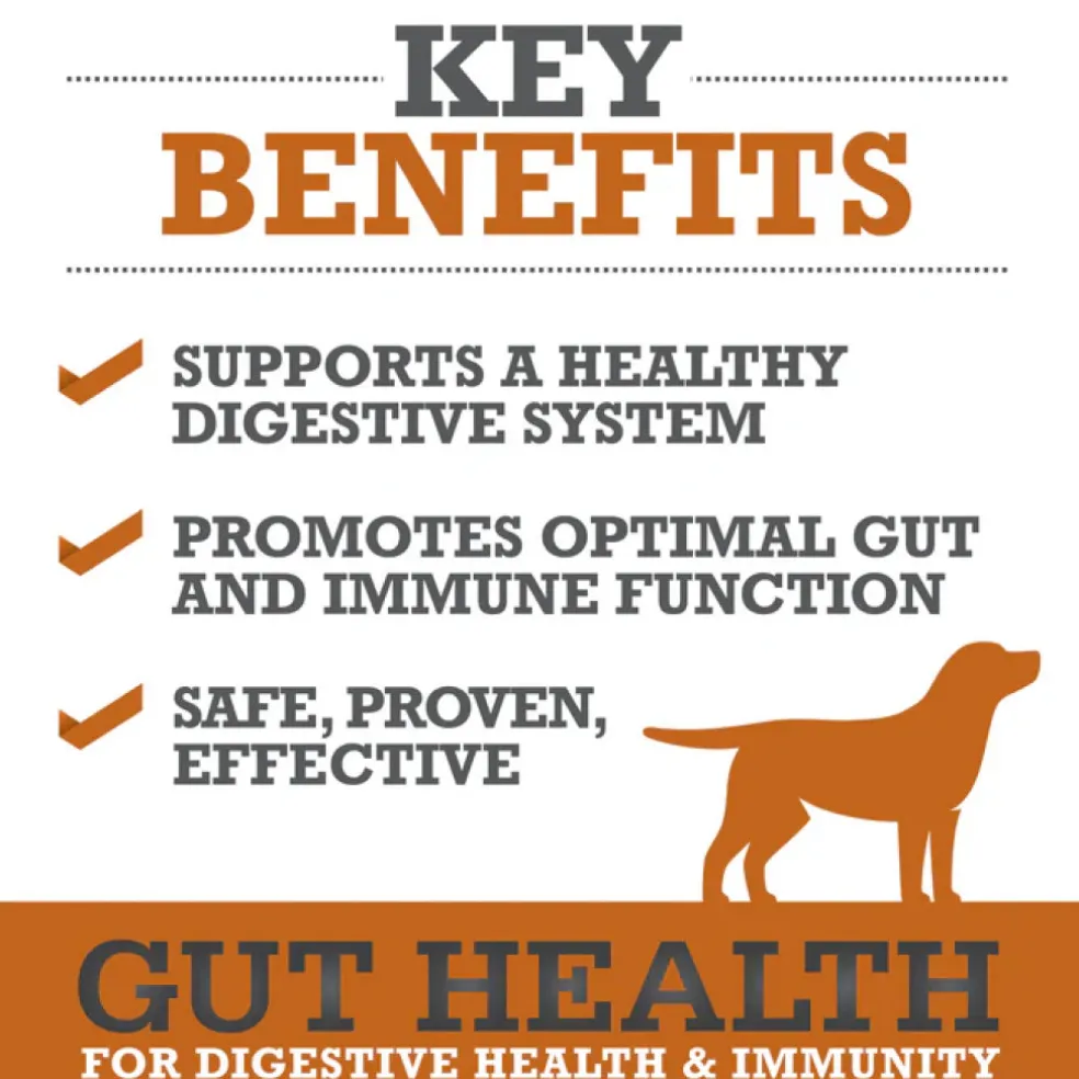 WINPRO Dog Gut Health & Immunity (60 Chews)