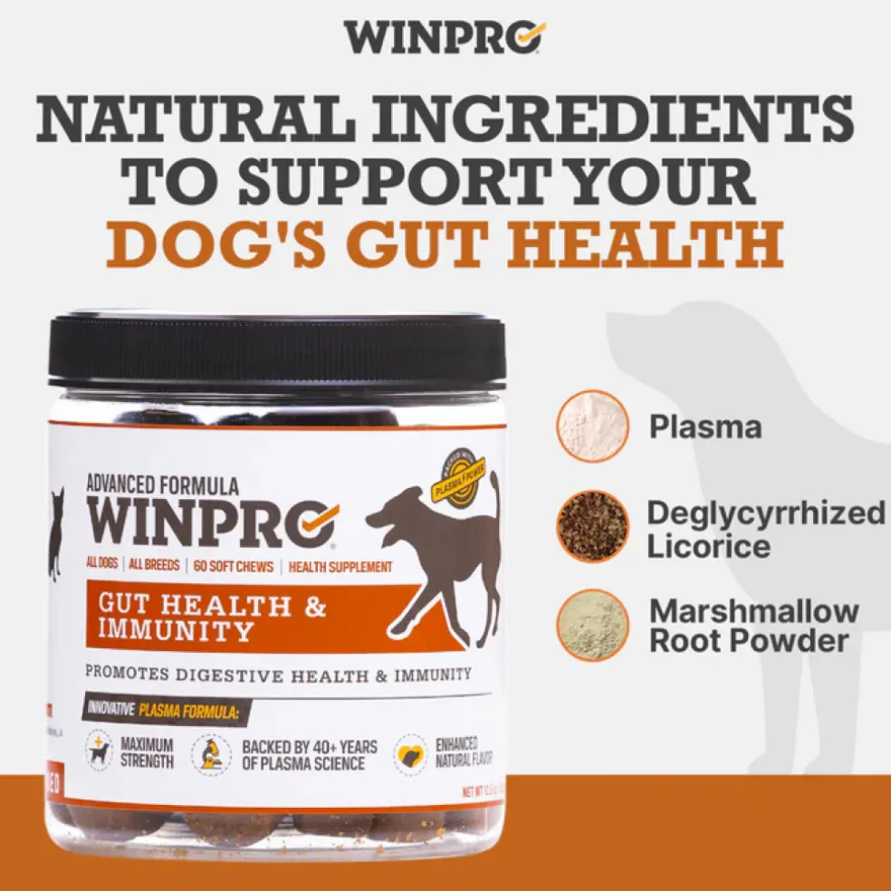 WINPRO Dog Gut Health & Immunity (60 Chews)