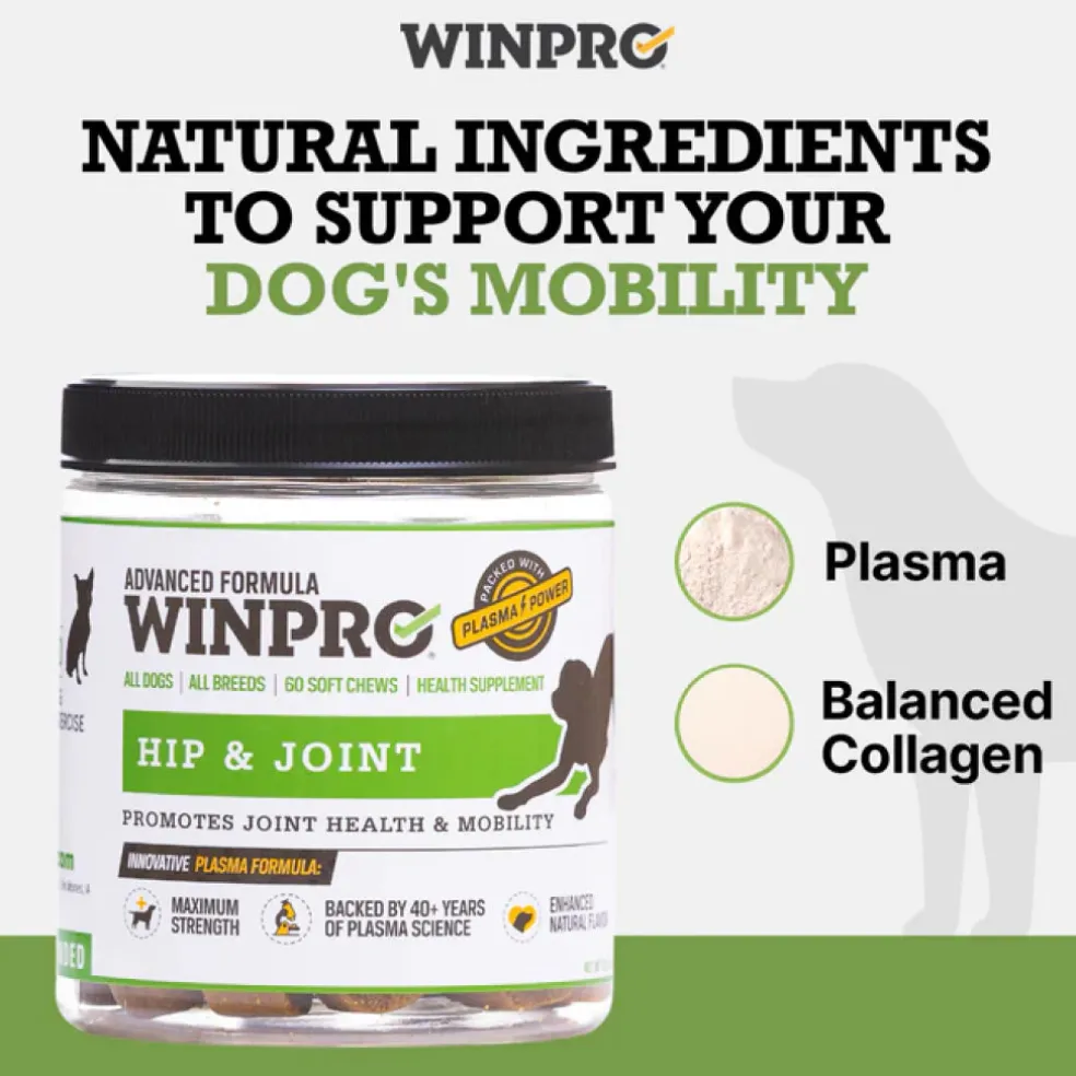 WINPRO Dog Hip & Joint Supplement (60 Chews)