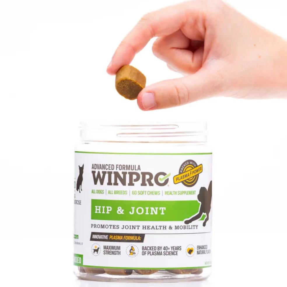 WINPRO Dog Hip & Joint Supplement (60 Chews)
