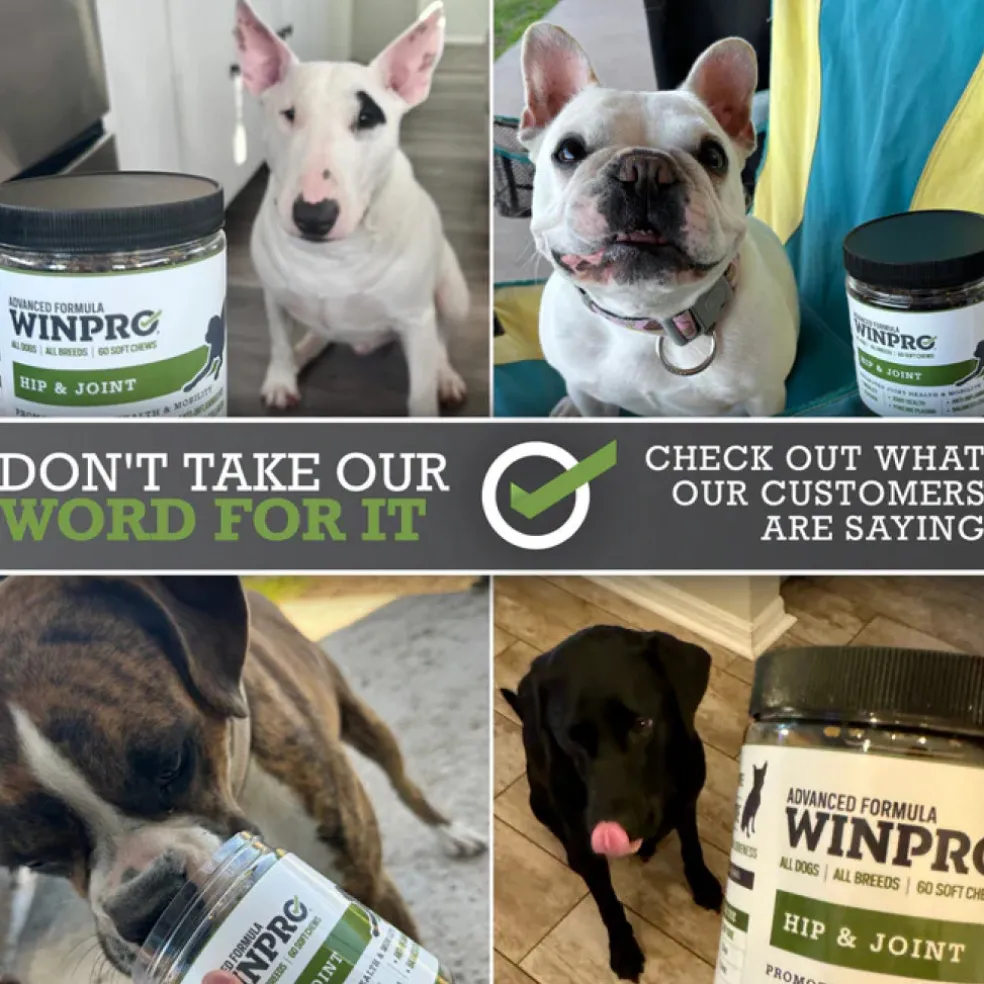 WINPRO Dog Hip & Joint Supplement (60 Chews)
