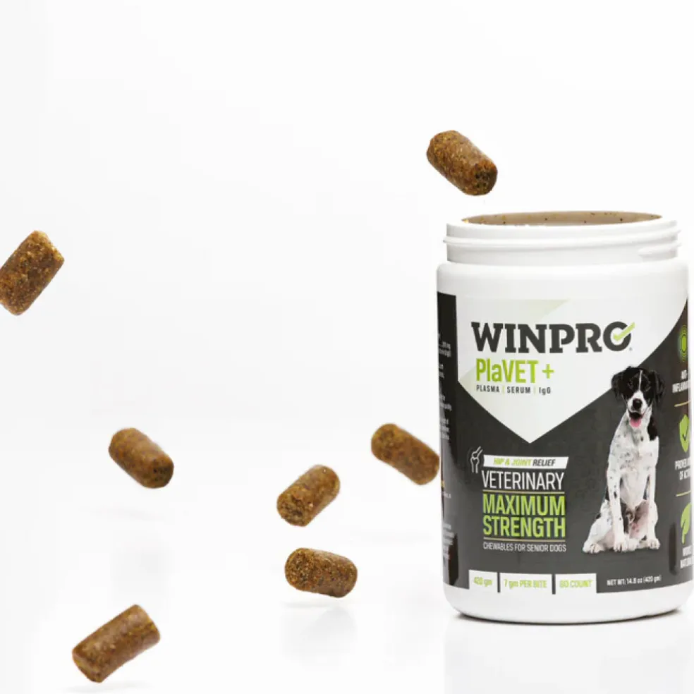 WINPRO Dog PlaVET+ 420 gm (60 Count)