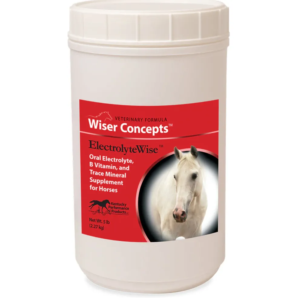 Wiser Concepts ElectrolyeWise Electrolyte Vitamin & Mineral Supplement for Horses