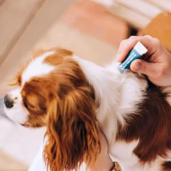 Wondercide Flea & Tick Spot On for Dogs with Natural Essential Oils, Peppermint Scent