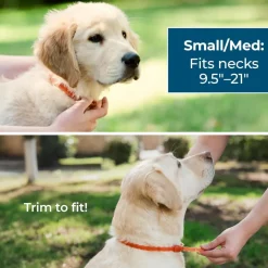 Wondercide Natural Flea, Tick & Mosquito Repellent Collar for Dogs (1 ct)