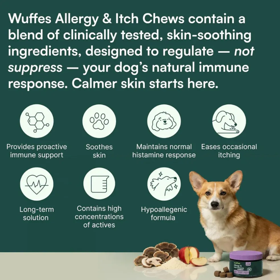 Wuffes Allergy & Itch Chews for Dogs (50 chews)