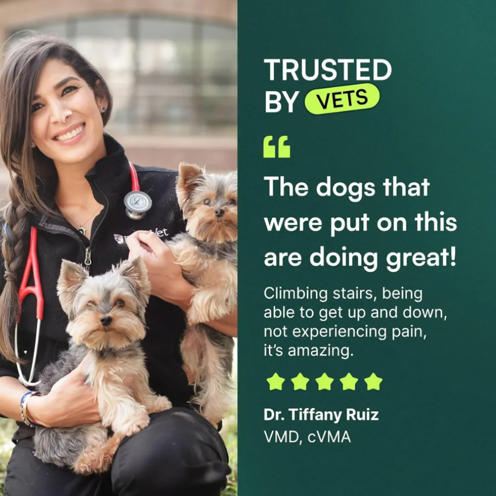 Wuffes Hip & Joint Chews for Dogs