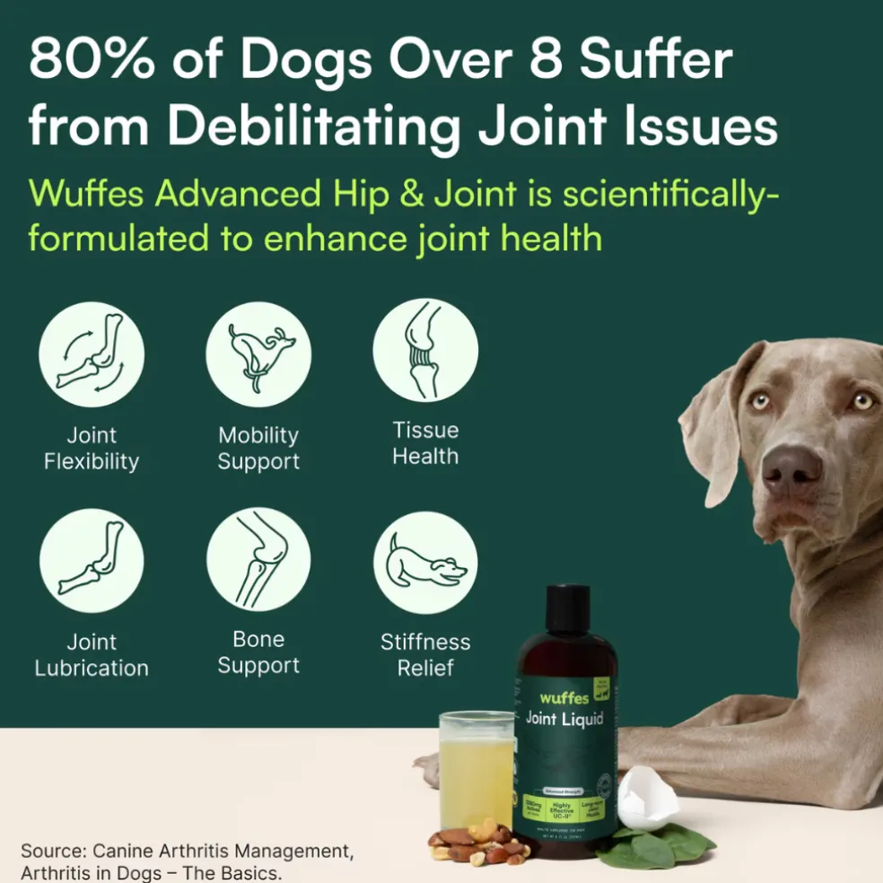 Wuffes Joint Liquid for Dogs (8 oz)