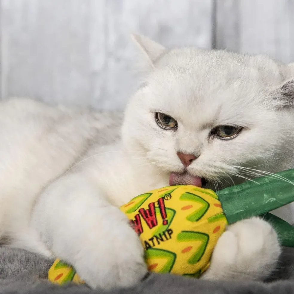 Yeowww! Catnip Pineapple Cat Toy One Size, 1 count