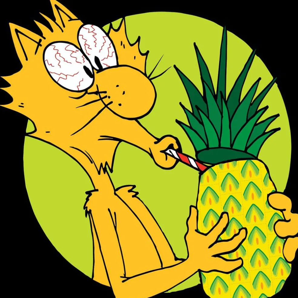 Yeowww! Catnip Pineapple Cat Toy One Size, 1 count