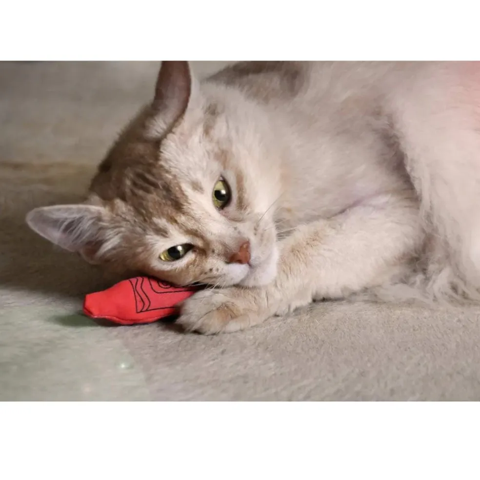 Yeowww!-Ola Crayons Catnip Cat Toy