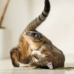 Yeowww! Organic Catnip For Cat Toys, 1-ounce