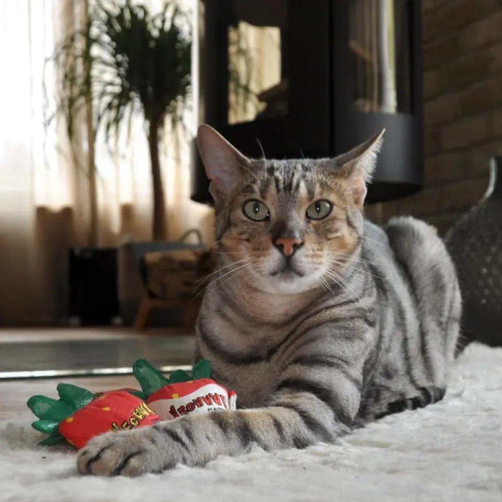 Yeowww! Strawberries Catnip Cat Toy