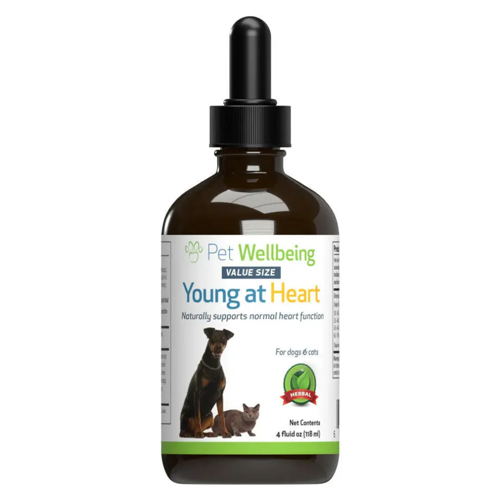 Young at Heart - for Healthy Heart Maintenance in Dogs (4 oz)