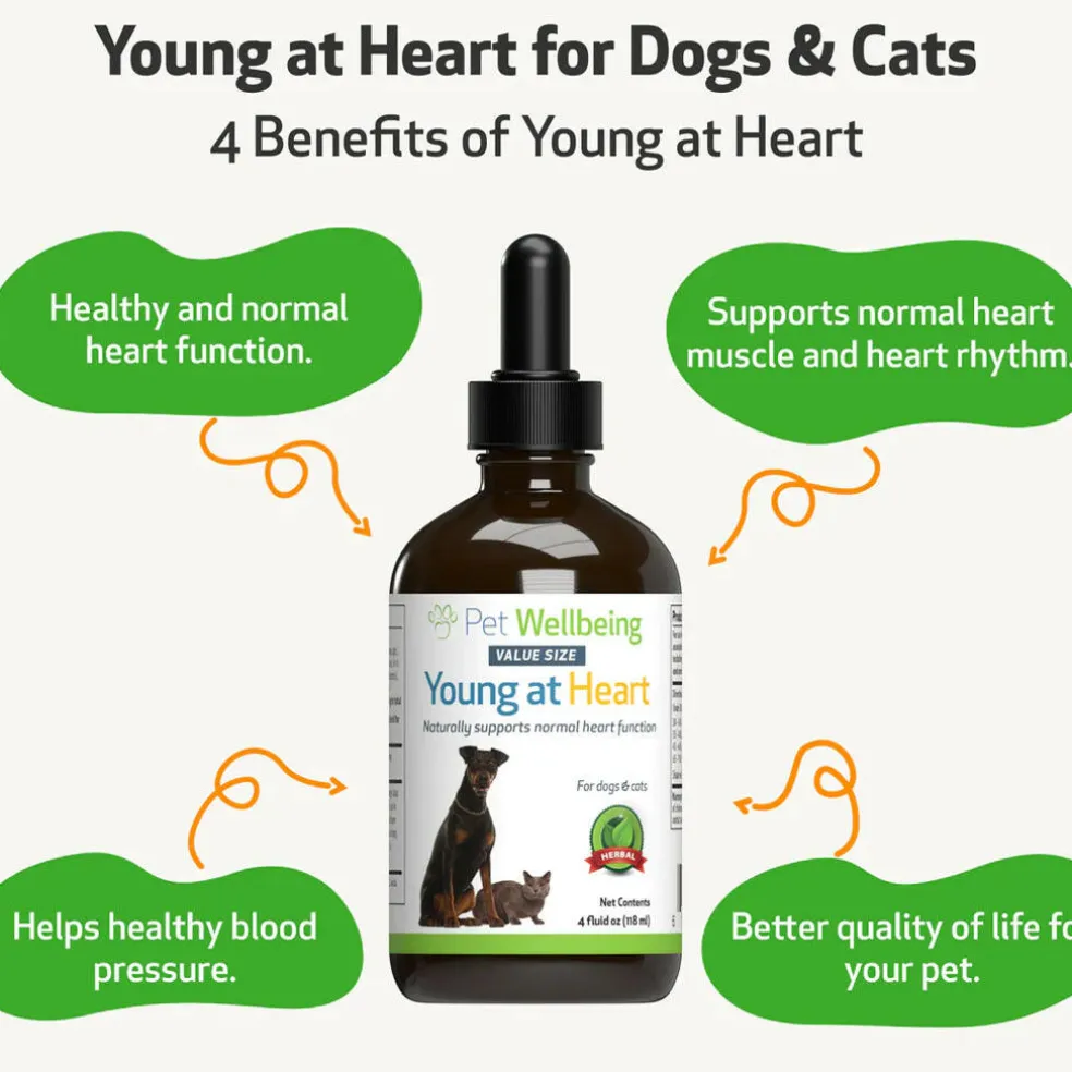 Young at Heart - for Healthy Heart Maintenance in Dogs (2 oz)