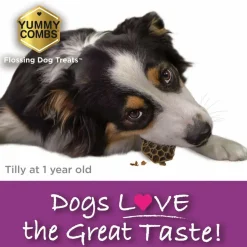 Yummy Combs Premium Dog Treats, Fish and Egg Allergy Relief, X-Large, 6 Count