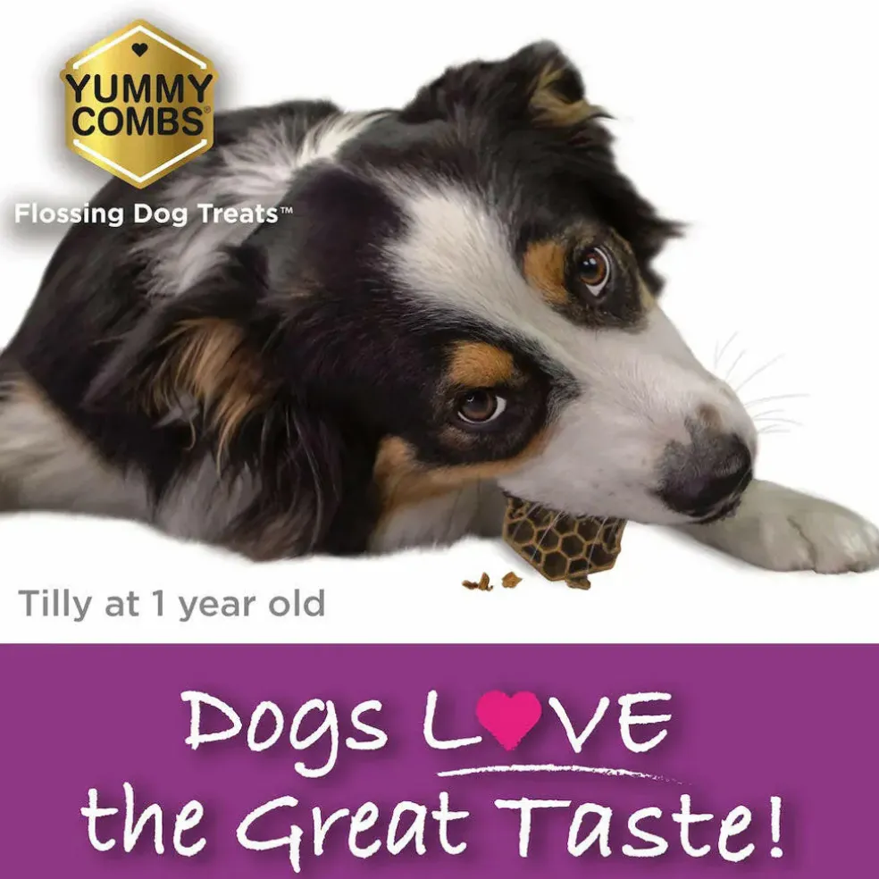 Yummy Combs Premium Dog Treats, Fish and Egg Allergy Relief, Small, 21 Count