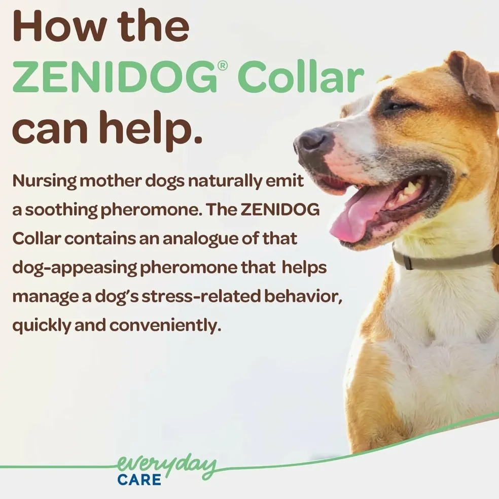 ZENIDOG Calming Collar for Dogs- Medium/Large (22-110 lbs)