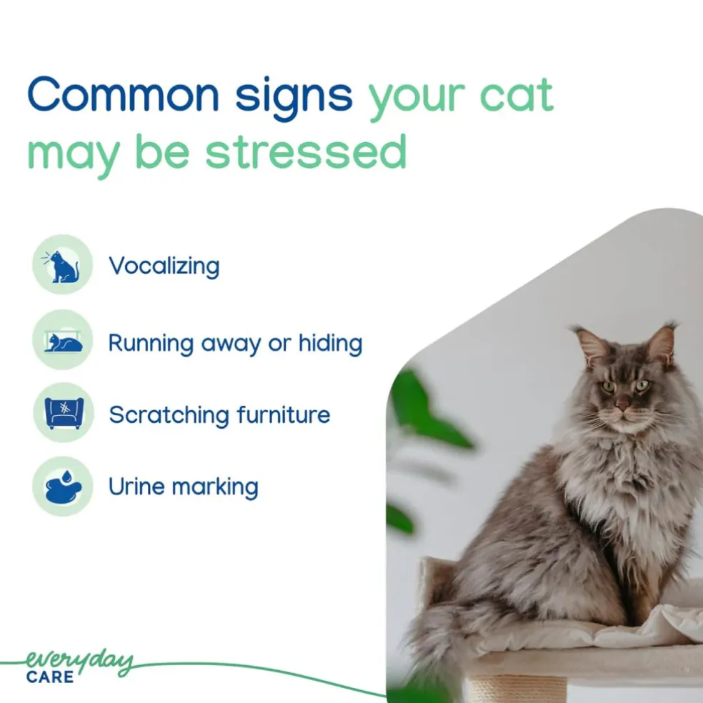 ZENIFEL Calming Pheromone Spray for Cats (2 oz)