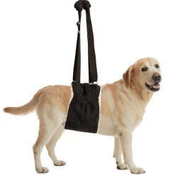 ZenPet Buddy Lift Canine Support & Rehabilitation Sling for Dogs