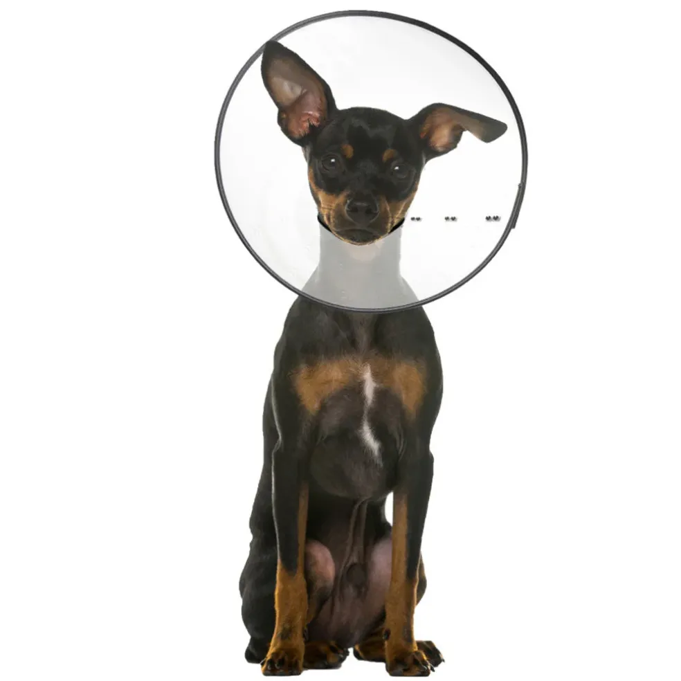 ZenPet E-Clear Plastic Recovery Collar for Dogs & Cats
