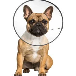 ZenPet E-Clear Plastic Recovery Collar for Dogs & Cats