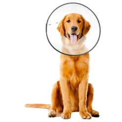 ZenPet E-Clear Plastic Recovery Collar for Dogs & Cats