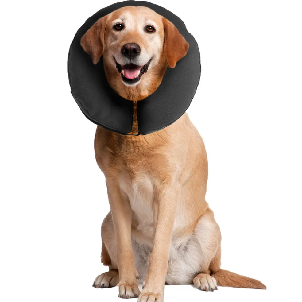 ZenPet ZenCollar Inflatable Recovery Collar for Dogs & Cats