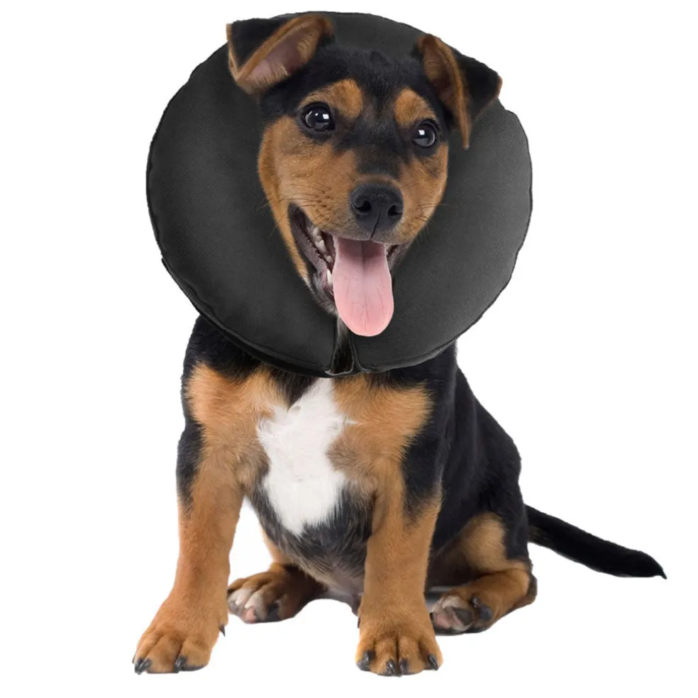 ZenPet ZenCollar Inflatable Recovery Collar for Dogs & Cats