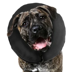 ZenPet ZenCollar Inflatable Recovery Collar for Dogs & Cats