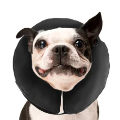 ZenPet ZenCollar Inflatable Recovery Collar for Dogs & Cats
