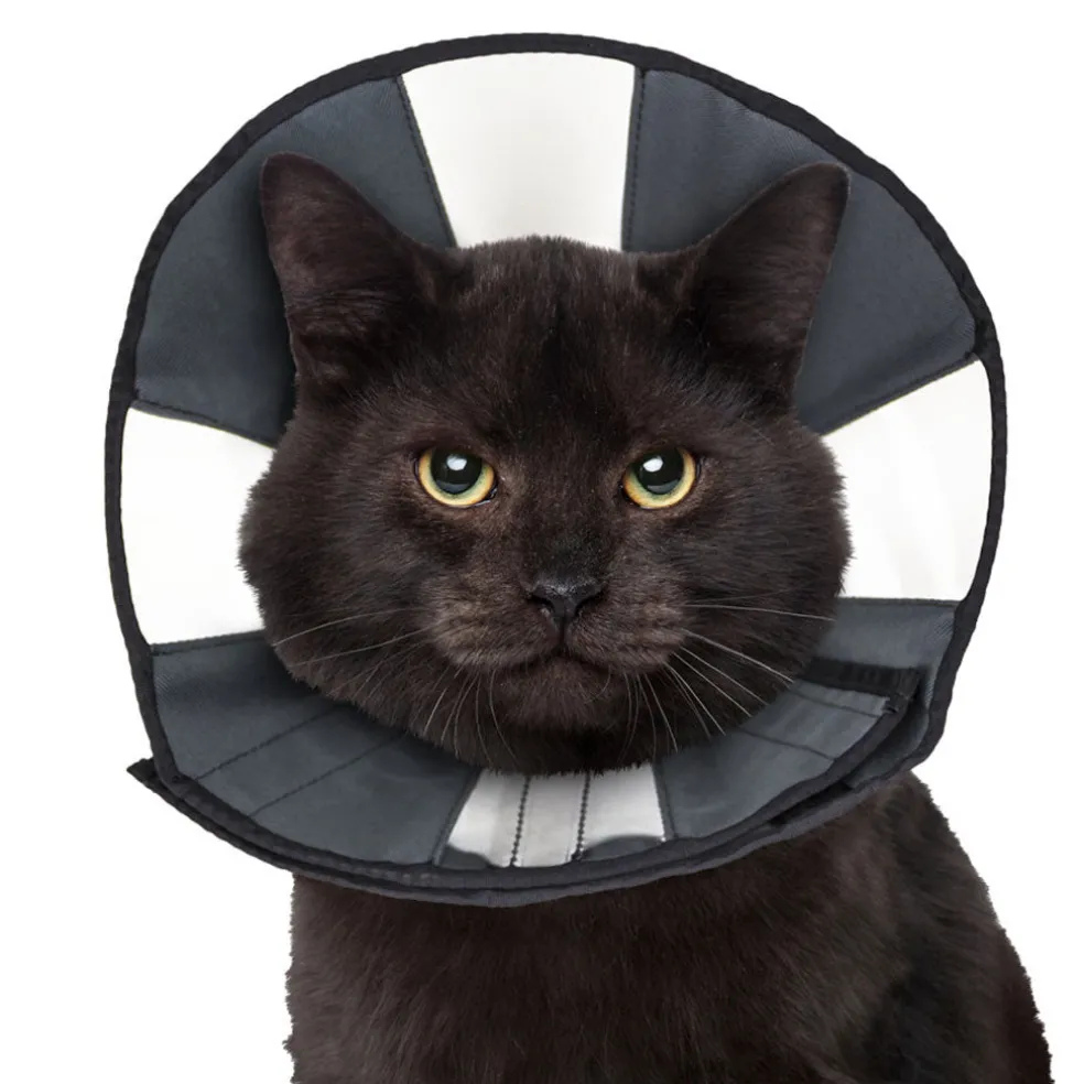 ZenPet ZenCone Soft Recovery Collar for Dogs & Cats