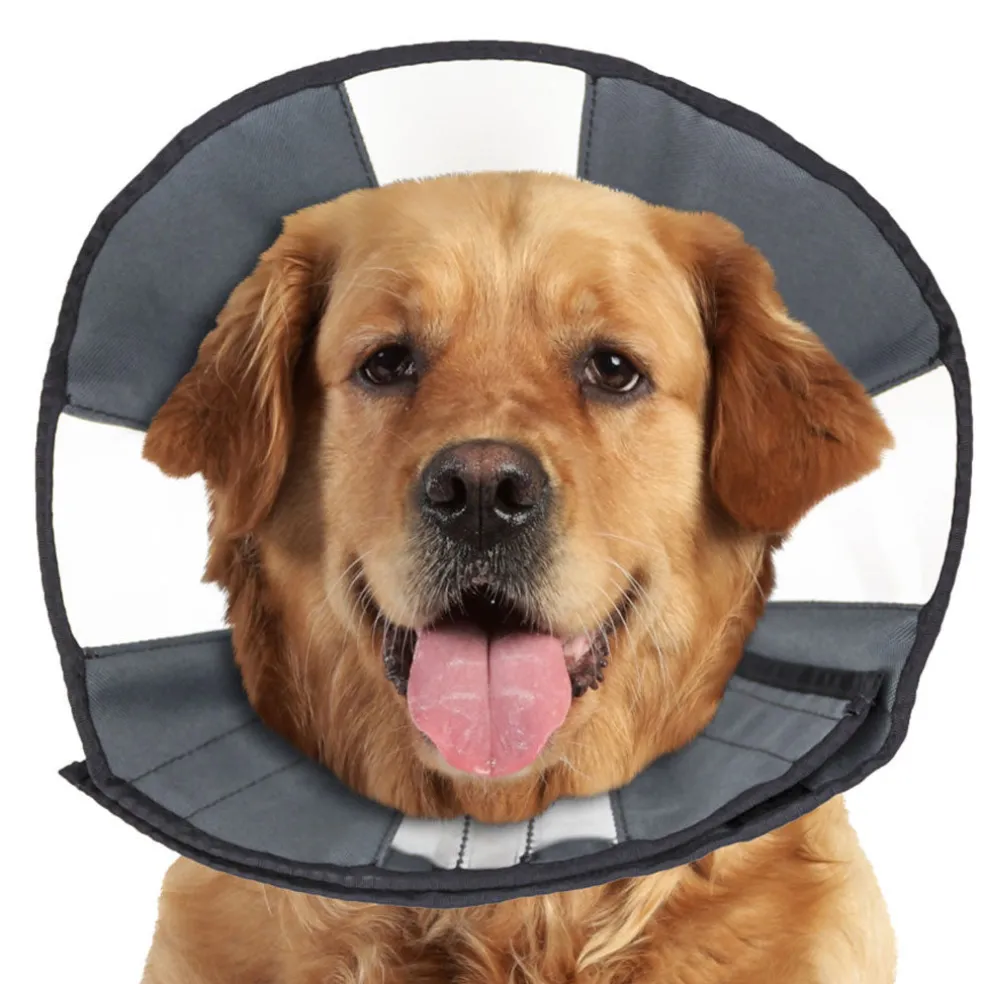 ZenPet ZenCone Soft Recovery Collar for Dogs & Cats